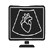 features image